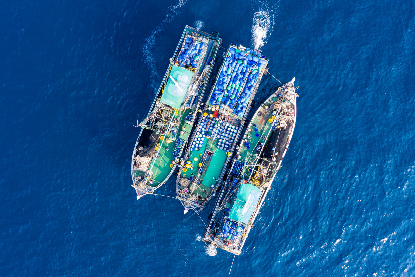 overfishing