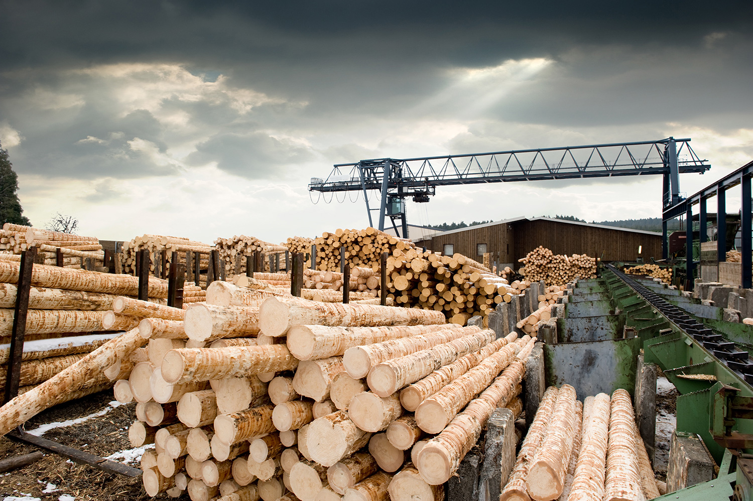 Deforestation Regulation