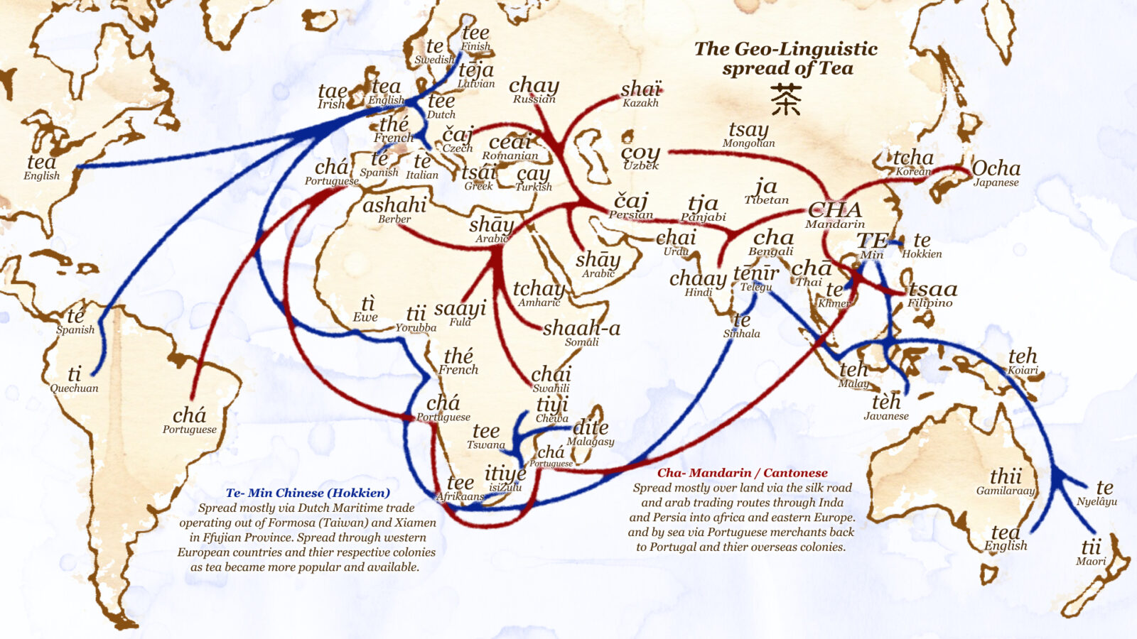 The Geo-Linguistic spread of tea. 