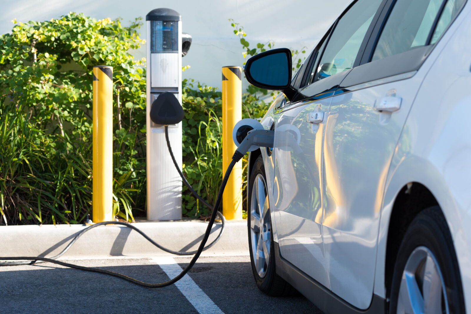 A white electric vehicle plugged into a public charging station with green plants in the background.