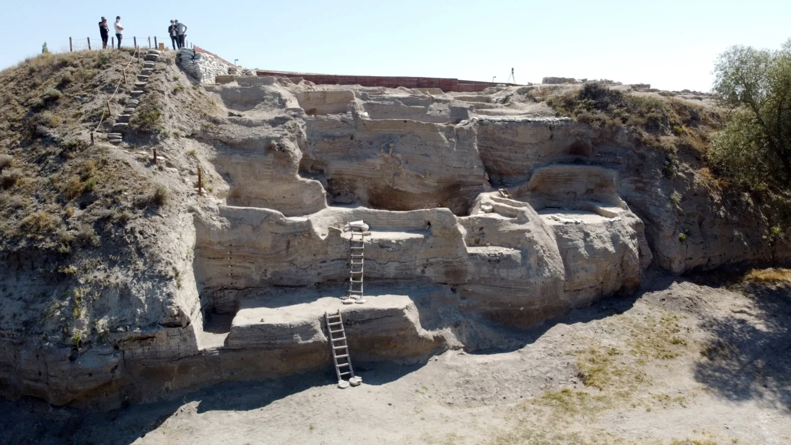 Archaeologists working on-site at Asıklı Höyük, an important ancient settlement in Aksaray, Türkiye. Domasticated Sheep