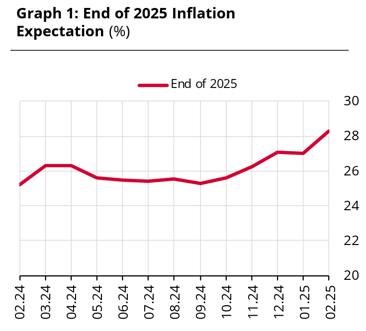 Turkish market raises year-end inflation expectation to over 28%