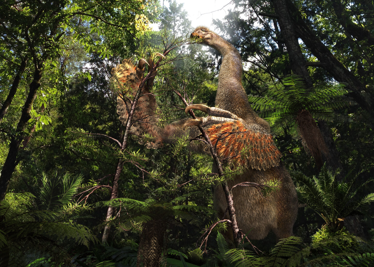 Duonychus reconstruction _illustration credit Masato Hattori.