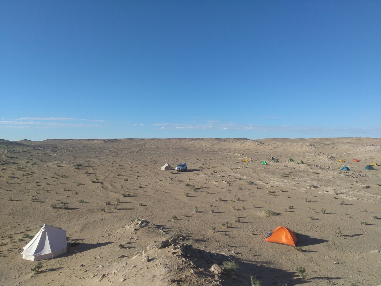 Duonuchus locality Urlibe Khudak.