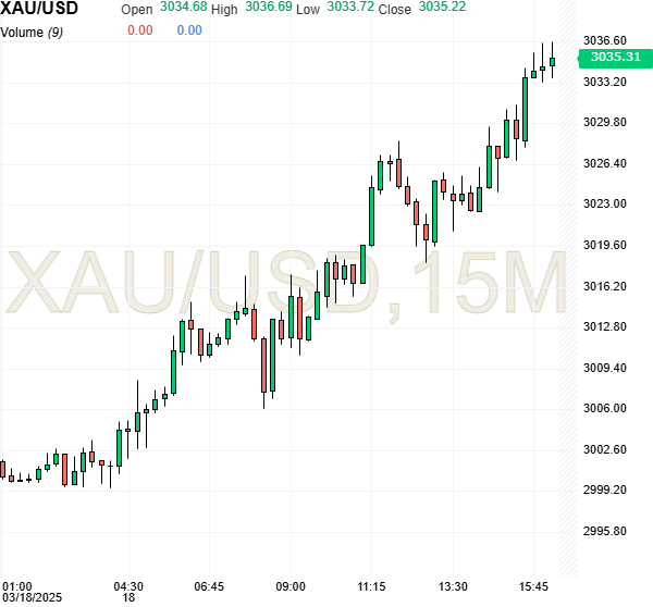 Gold hits new record, setting stage for further gains