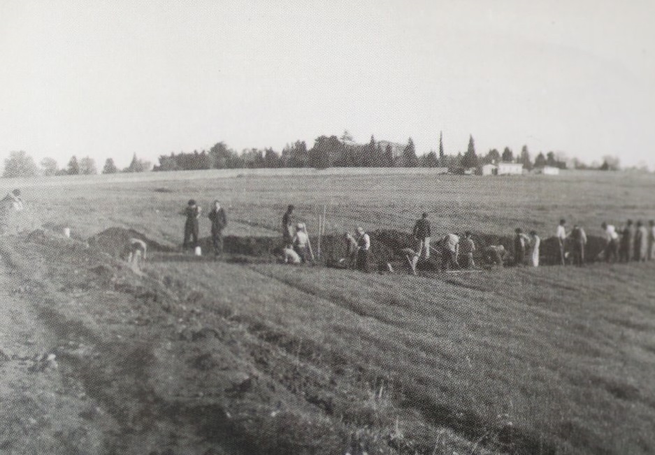 1950s archaeological excavation in Fikirtepe, Kadikoy, with Sultan Murad V