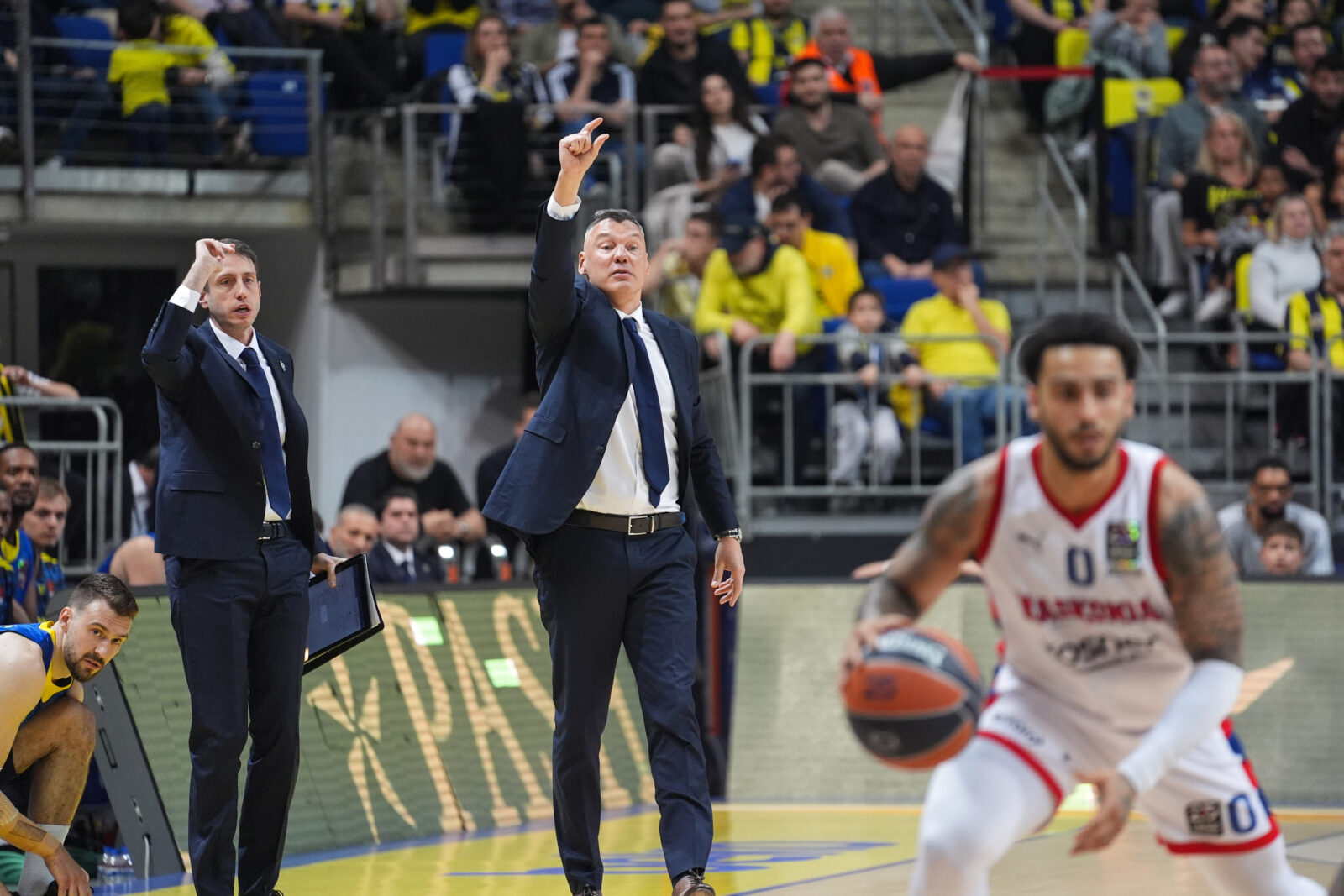Saras Jasikevicius of Fenerbahce Beko