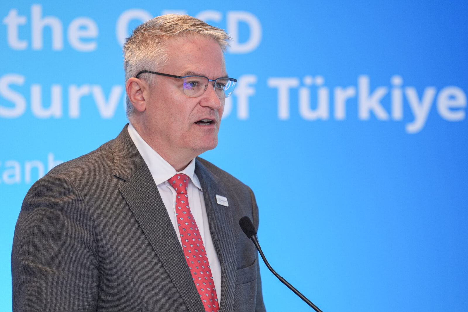 'Headwinds won’t derail disinflation,' OECD applauds Türkiye's growth