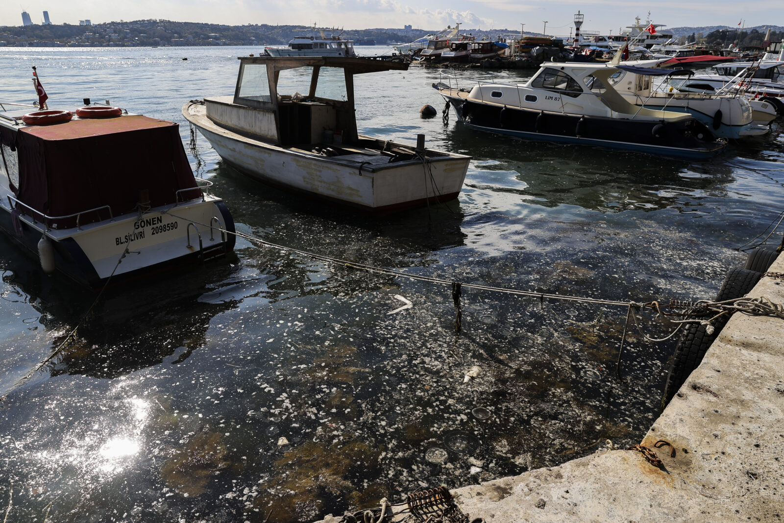 Mucilage seen on the sea surface at Beykoz coast