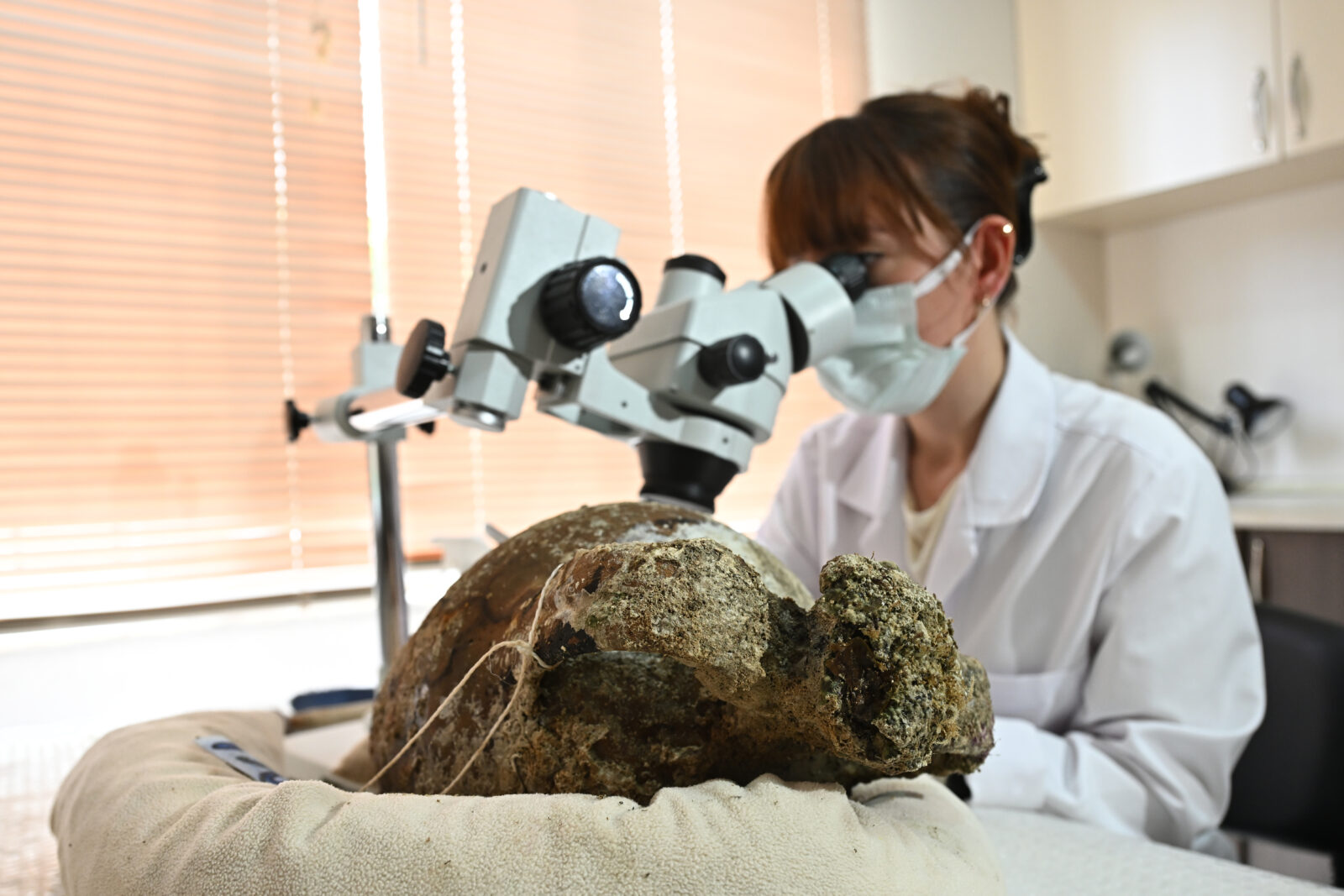 1100 year old unopened amphora found in shipwreck