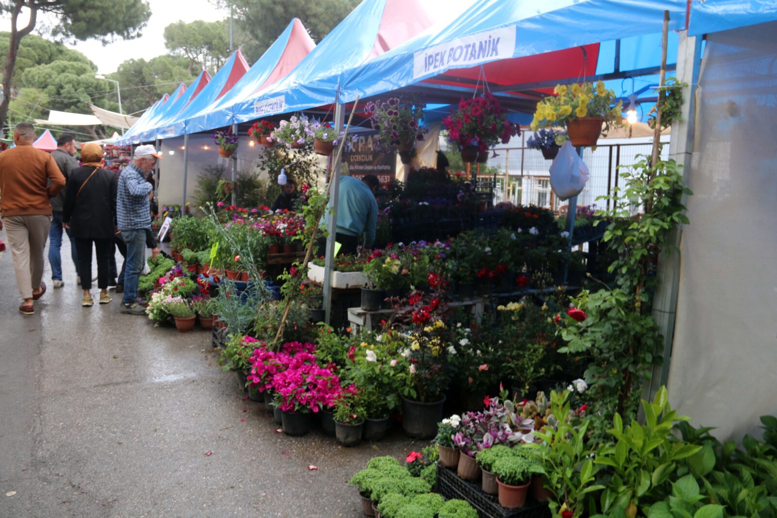 24th International Bayindir Flower Festival in Bayindir, Izmir, on May 4, 2023, celebrating flower cultivation.