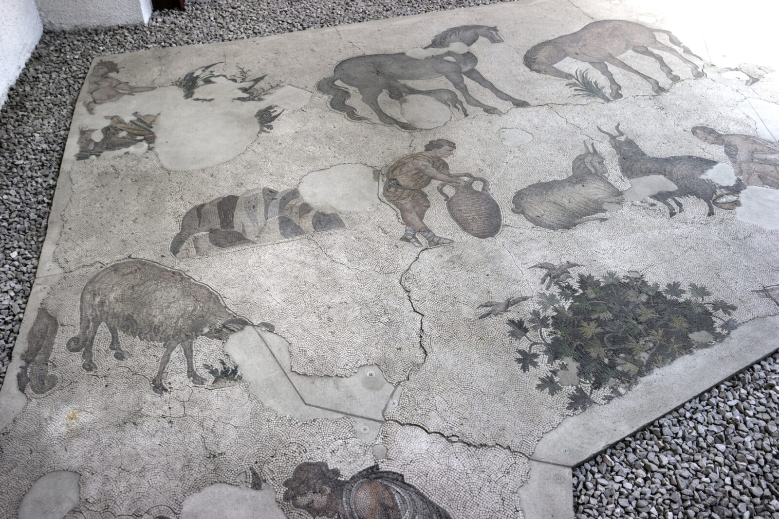 Mosaic of milking the goats