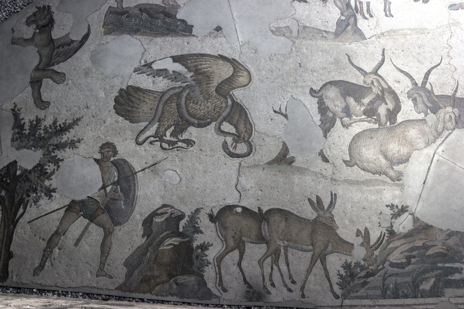 Hunting scene mosaic of museum